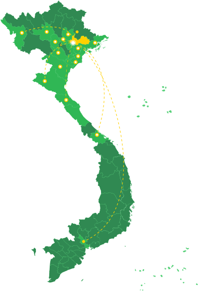 Phân phối trong nước