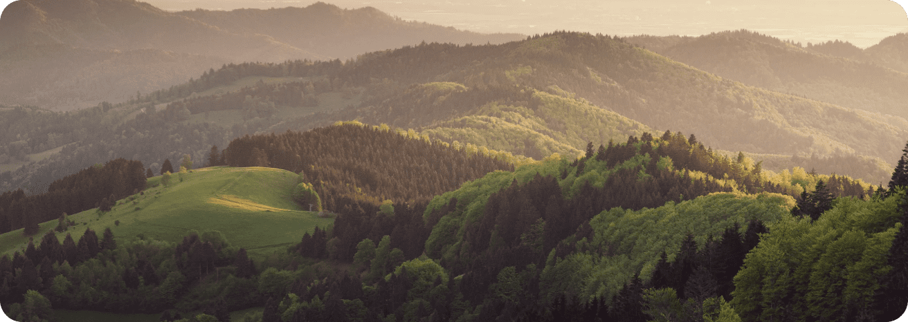 Nguyên liệu sản xuất