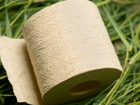 Standards for using virgin pulp